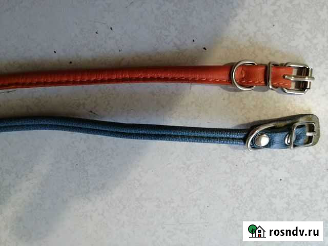 Ошейники для маленьких собак Тула - изображение 1