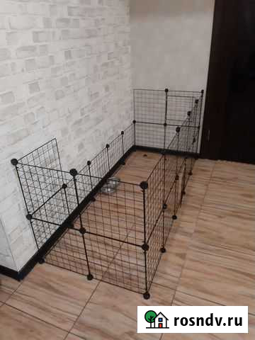 Клетка вольер для собак бу Анапа - изображение 1