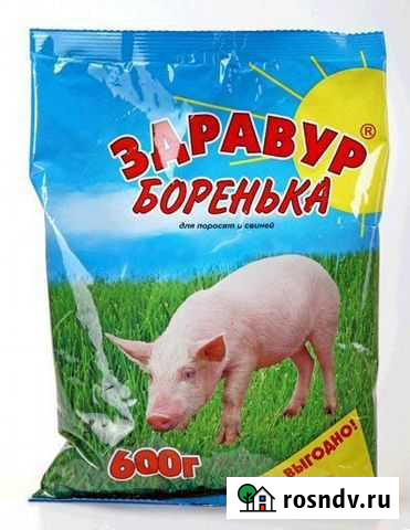 Здравур боренька Барнаул - изображение 1