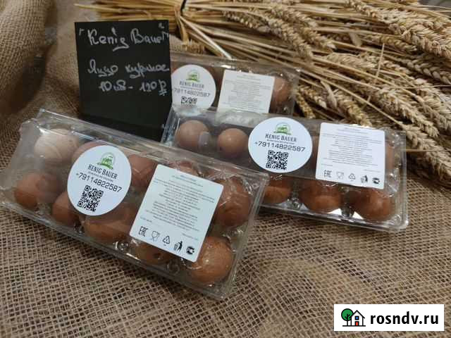 Яйцо куриное (домашнее) Калининград - изображение 1