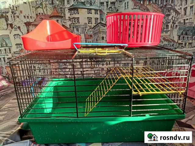 Клетка для грызунов Петрозаводск - изображение 1