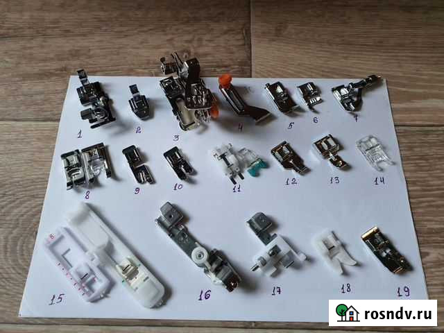Лапки Комсомольск-на-Амуре - изображение 1