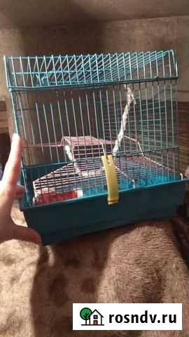 Клетка Белгород - изображение 1