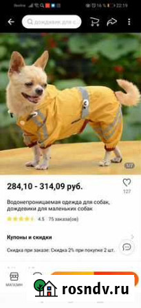 Дождевик для маленькой собаки Ярославль - изображение 1