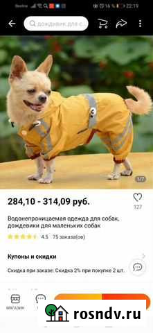 Дождевик для маленькой собаки Ярославль - изображение 1