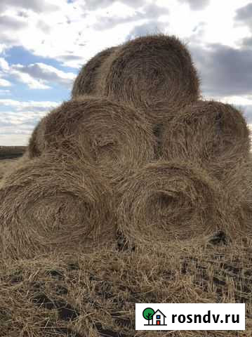 Солома ячменная в тюках Курган - изображение 1