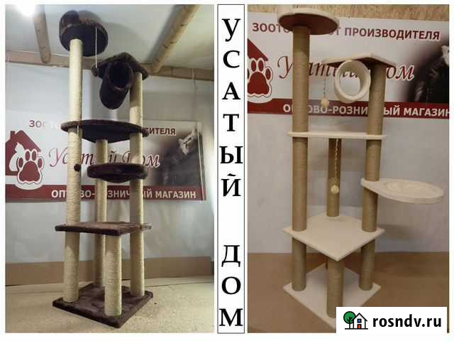 Комплекс для кошек Нижний Новгород - изображение 1