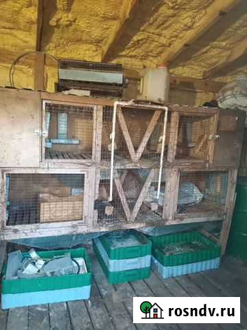 Клетки для кроликов бу Гатчина - изображение 1