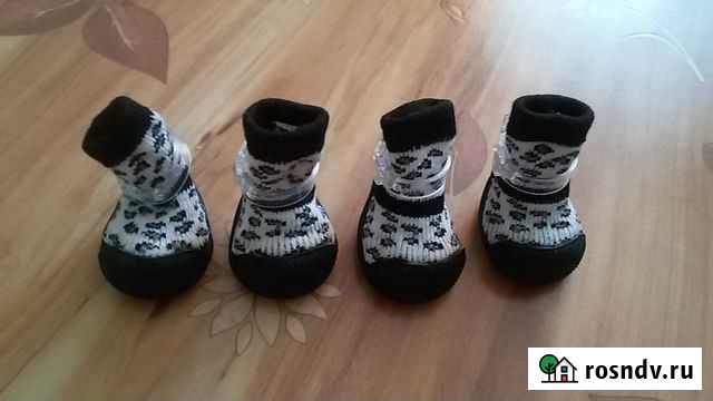Ботиночки для небольшой собачки Благовещенск - изображение 1