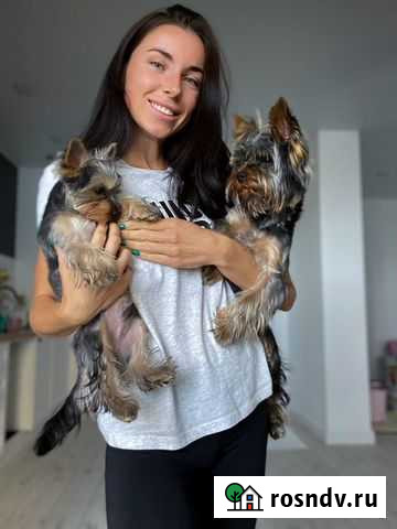 Передержка животных Тюмень - изображение 1