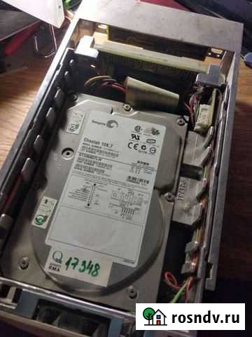 Scsi Калининград - изображение 1