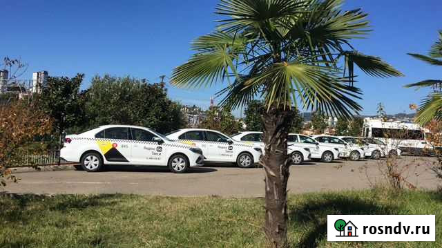 Аренда авто с Лицензией Такси Сочи - изображение 1