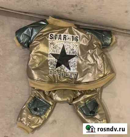 Одежда для собаки Набережные Челны