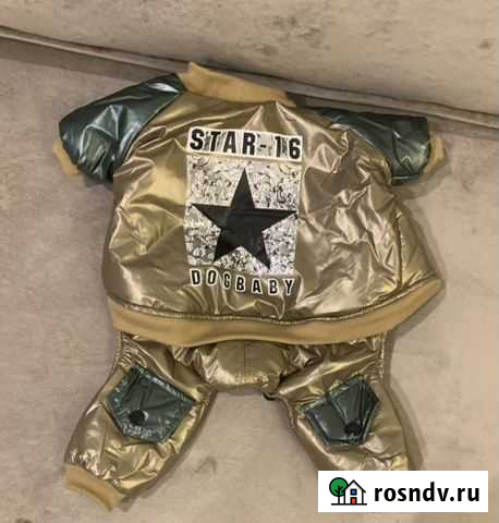 Одежда для собаки Набережные Челны - изображение 1