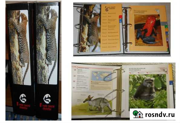 В мире дикой природы Барнаул - изображение 1