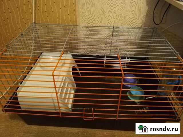 Клетка для морской свинки Екатеринбург - изображение 1