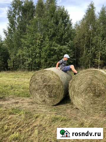 Сено 2021 года в рулонах по 350кг Пено - изображение 1