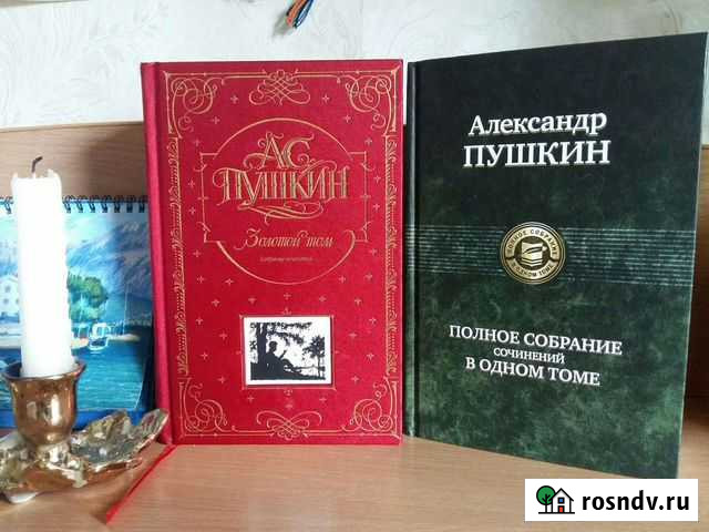 А.С. Пушкин Хабаровск - изображение 1