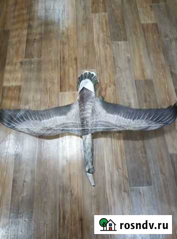 Чучело гусей. Воздушный змей ARtechnology Белолобы Приморско-Ахтарск - изображение 1