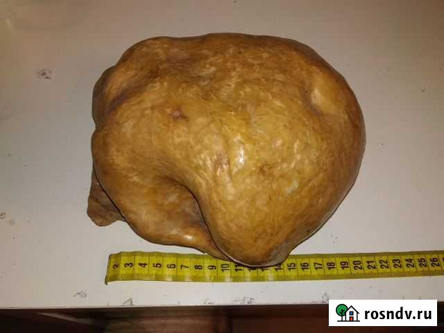 Капы березовые Петрозаводск - изображение 1