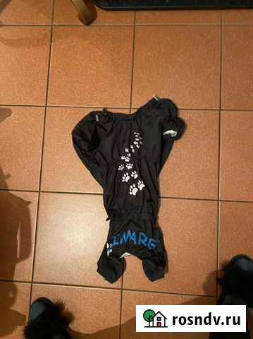 Одежда для таксы Иркутск - изображение 1