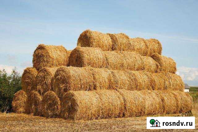 Солома в рулонах Ачхой-Мартан - изображение 1