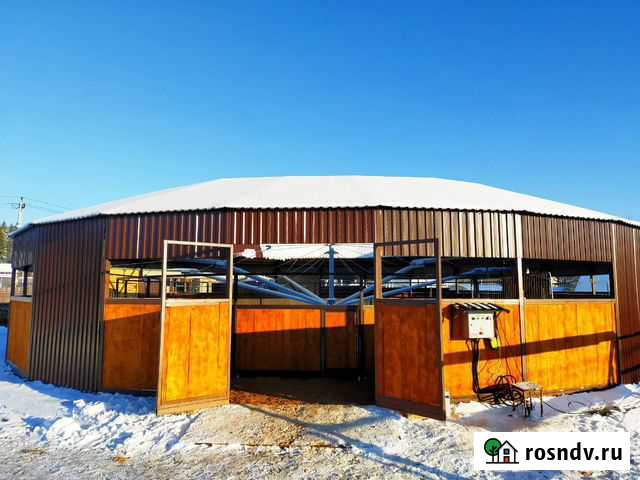 Постой для лошадей Солнечногорск - изображение 1