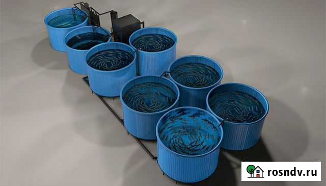 Узв для выращивания рыбы, раков, креветок Краснодар - изображение 1