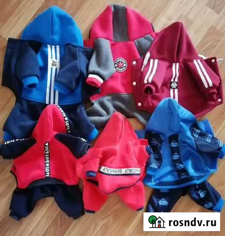 Одежда для собак Ейск - изображение 1