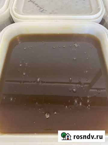 Дягиль мёд. Урожай 2021 г Бийск - изображение 1