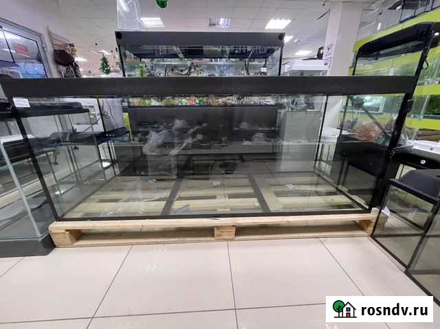 Аквариум Чита - изображение 1