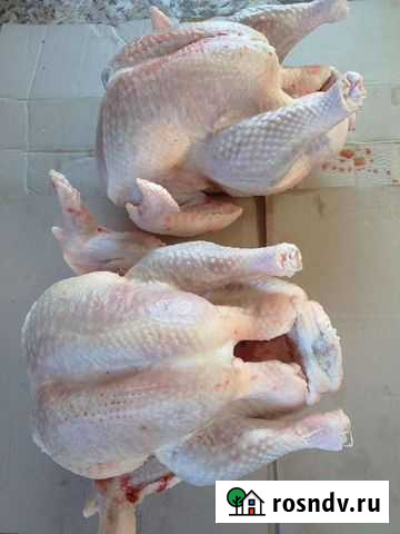 Мясо домашней индейки Иркутск - изображение 1