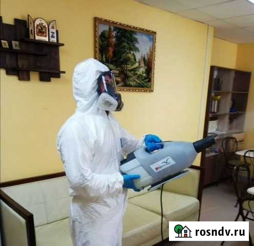 Уничтожение любых насекомых Бийск - изображение 1