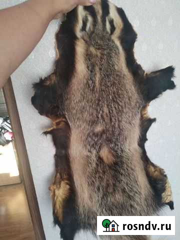 Шкура барсука Ижевск - изображение 1