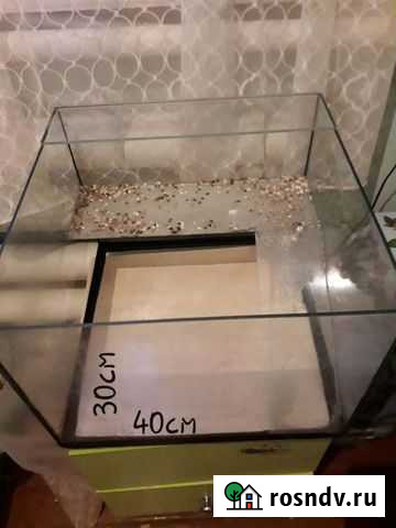 Террариум Югорск - изображение 1