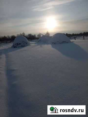 Сено в задродах Нижний Ингаш - изображение 1