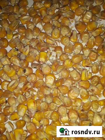 Кукуруза целая Троицк - изображение 1