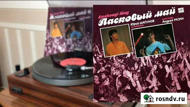 Ласковый май /группа Новосибирск - изображение 1