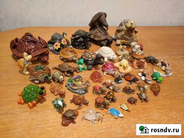 Коллекция черепашек Калининград - изображение 1