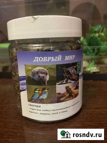 Сверчки сушеные Губкин - изображение 1