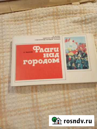 Н.Быков. Флаги над городом. Художнику-оформителю Воронеж - изображение 1