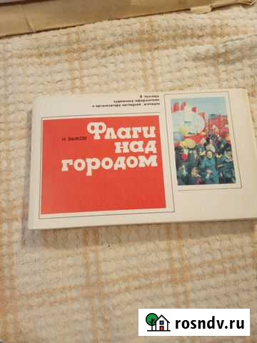 Н.Быков. Флаги над городом. Художнику-оформителю Воронеж - изображение 1