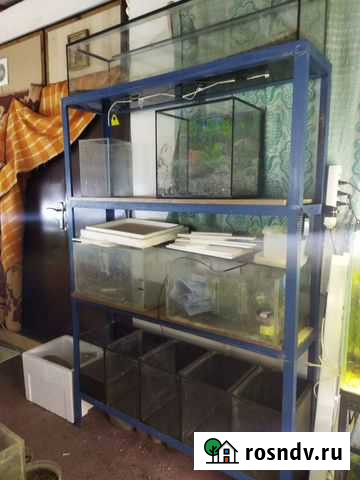 Аквариумная стойка с аквариуиаии Севастополь - изображение 1