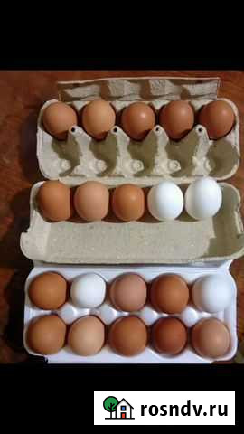 Яйца Волосово - изображение 1