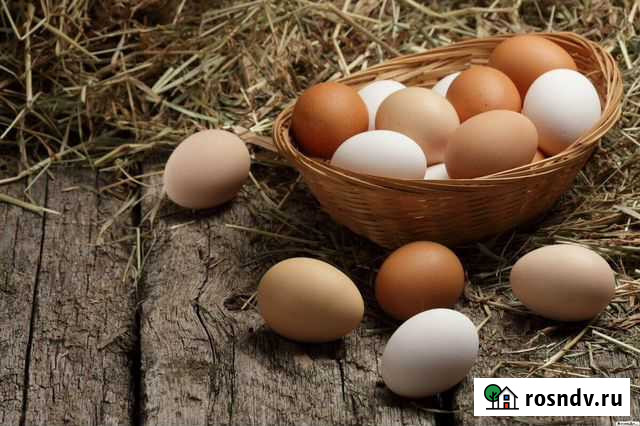 Яйца куриные Ногинск - изображение 1