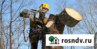 Спил деревьев Кемерово - изображение 1