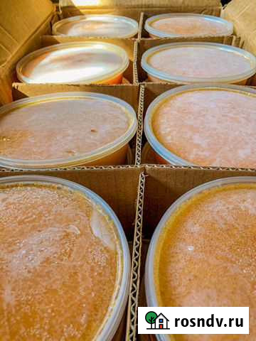 Икра омуля-Якутия/качество/зернистая Красноярск - изображение 1