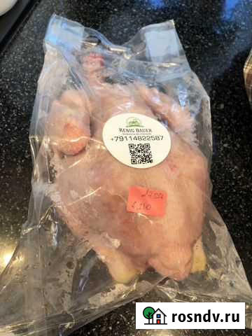 Курица домашняя Калининград - изображение 1