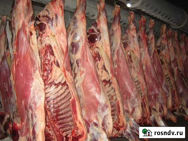 Продажа мяса свинины в тушках/полутушах Батайск - изображение 1