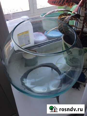 Аквариум круглый Новосибирск - изображение 1